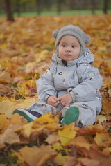 Little boy playing in autumn park. Child on yellow fallen leaves on a sunny autumn day.