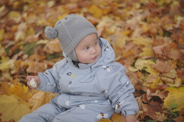 Little boy playing in autumn park. Child on yellow fallen leaves on a sunny autumn day.