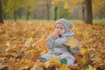 Little boy playing in autumn park. Child on yellow fallen leaves on a sunny autumn day.