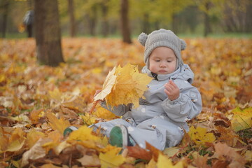Little boy playing in autumn park. Child on yellow fallen leaves on a sunny autumn day.