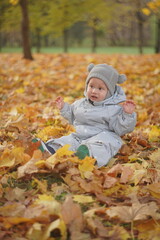 Little boy playing in autumn park. Child on yellow fallen leaves on a sunny autumn day.