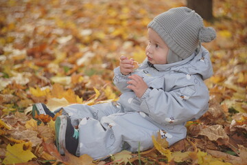 Little boy playing in autumn park. Child on yellow fallen leaves on a sunny autumn day.