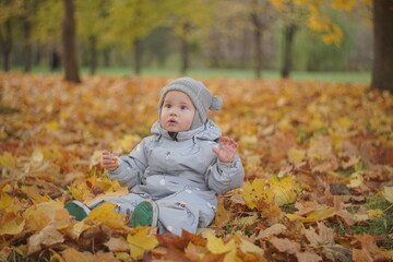Little boy playing in autumn park. Child on yellow fallen leaves on a sunny autumn day.