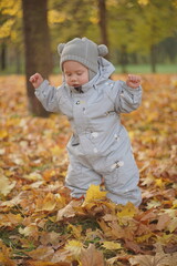 Little boy playing in autumn park. Child on yellow fallen leaves on a sunny autumn day.