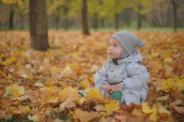 Little boy playing in autumn park. Child on yellow fallen leaves on a sunny autumn day.