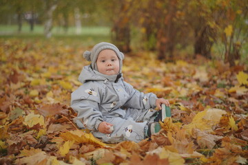 Little boy playing in autumn park. Child on yellow fallen leaves on a sunny autumn day.