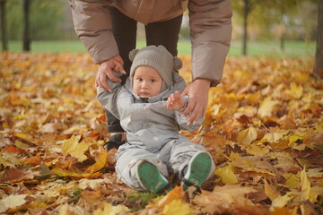 Little boy playing in autumn park. Child on yellow fallen leaves on a sunny autumn day.