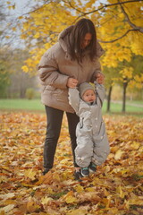 Little boy playing in autumn park. Child on yellow fallen leaves on a sunny autumn day.