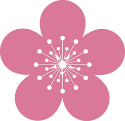 Pink Japanese cherry blossoms vector icon. Flowers, plants, spring, cute, etc.