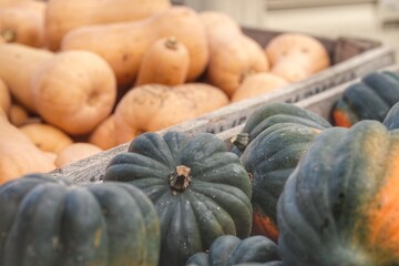 Farmer's Market Fall Autumn Squash Gourds Background