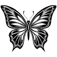 Fototapeta premium Intricate Insect Design with Symmetrical Wings, Perfect for Artistic and Nature-Inspired Graphic Designs
