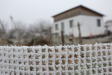 A serene winter scene featuring a frosted fence alongside a cozy house in a calm landscape