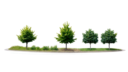 Trees on curved landscaping path isolated
