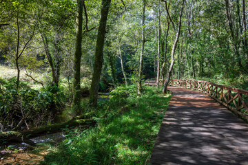 Fototapeta premium Wooden walkway on the river walk of the Anllons River in A Laracha, A Coruña.