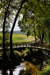 Wooden walkway on the river walk of the Anllons River in A Laracha, A Coruña.