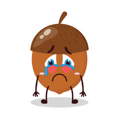 cute cry expression of walnut cartoon character