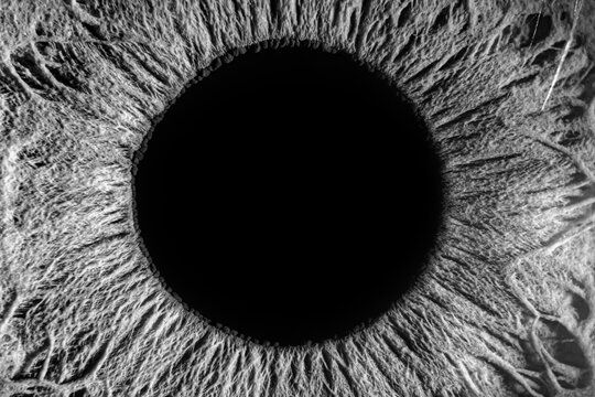 Extreme Macro Black and White Photography of Human Eye Showcasing Dilated Pupil and Intricate Iris Textures with Unique Patterns