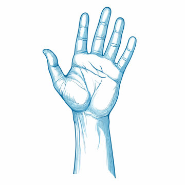 recommend clip art: Blue Lines Hand Sign Vector Illustration