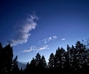 blue skies with clouds and trees