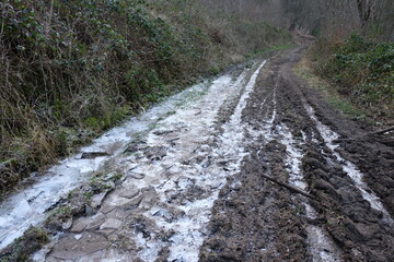 FU 2022-03-05 Zerkall 256 Auf dem Waldweg liegt Schnee und Eis