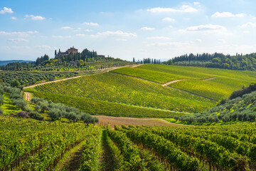 Fototapeta premium Radda in Chianti vineyards landscape. Tuscany, Italy