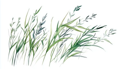 Watercolor green grass isolated on white background. Hand drawn illustration. 