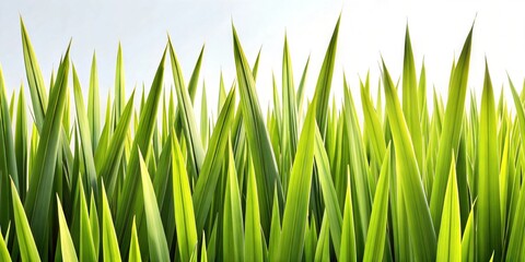 Naklejka premium Lush Grass Edge Photography: Vibrant and Textured Images for Backgrounds, Posters, Headers, Backdrops, and Creative Graphic Design Projects
