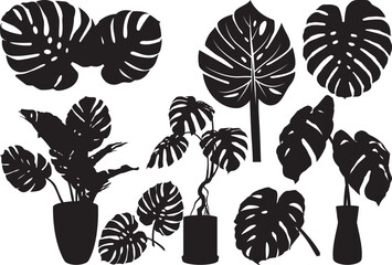 Monstera svg, Monstera Leaf SVG cutting file, monstera outline, monstera plant svg, tropical leaves svg, monstera silhouette  © Bundle Store