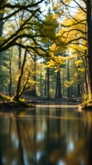 Obraz premium Blurred image of a forest pond with surrounding trees and foliage, leafy vegetation, water features, pond, peaceful lake