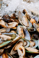 Fresh mussels on ice, ready for cooking, showcasing vibrant seafood textures and natural freshness