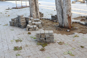 Obraz premium Paving Stones and Trees Placed on a Busy Construction Site Under Development and Renovation