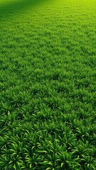 Obraz premium Lush green artificial grass with subtle texture and realistic color, synthetic grass, lawn alternatives, outdoor decor,