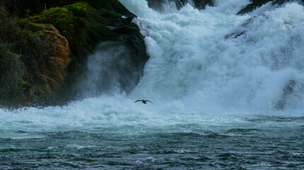 Powerful waterfall cascading over rocky cliffs during daytime with mist rising from turbulent waters