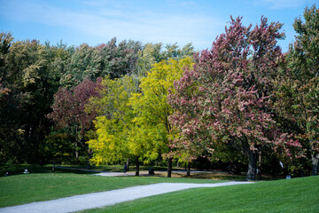 Path and Vibrant Fall Scene of Trees and Leaves in the Park - landscape in Canada