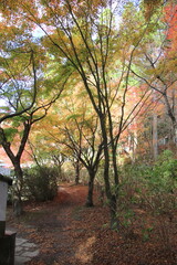 篠栗町の吞山観音寺紅葉風景