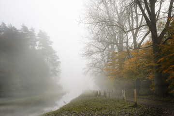 Fog over the footpath on the canal bank between large trees with autumn-colored leaves, seasonal...