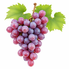 Fototapeta premium Grapes on the white background