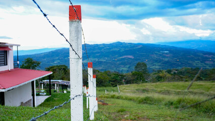 Campo de verdes pastos