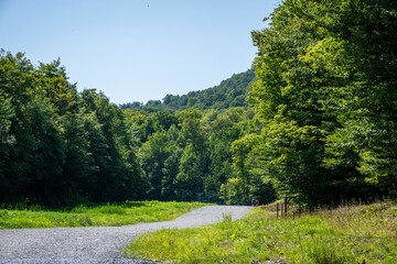 Explore the Beautiful Trails and Views of Mont Orford