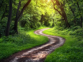 Obraz premium Dirt road that is winding through the woods