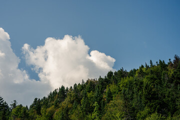 cloud and Explore the Beautiful Trails and Views of Mont Orford