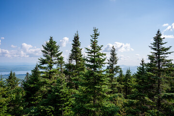 Explore the Beautiful Trails and Views of Mont Orford