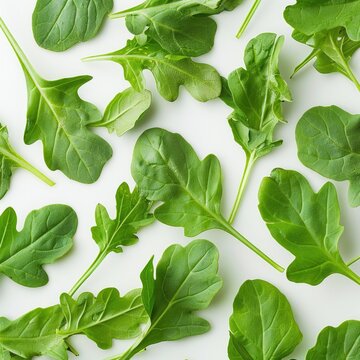 Close up studio shot of fresh rucola leaves on white background.