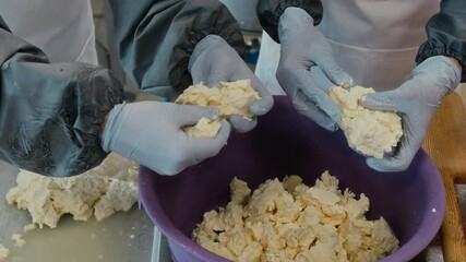Closeup of hands of anonymous dairy factory employees, in gloves and plastic sleeves tearing cooked curds into pieces for making stretched gourmet cheese
