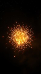 Vibrant golden firework exploding in mid-air against a dark black background with subtle starry night sky effects, pyrotechnic, dynamic movement, explosive