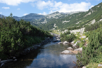 Summer view of Pirin Mountain around Banderitsa River, Bulgaria