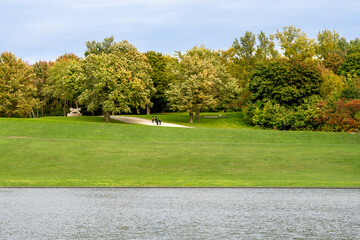 Vibrant Fall Scene of Trees and Leaves in the Park - landscape in Mont Royal park, Canada