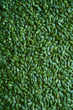 Green fresh pumpkin seeds from above filling the screen