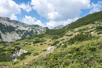 Obraz premium Summer view of Pirin Mountain around Banderitsa River, Bulgaria