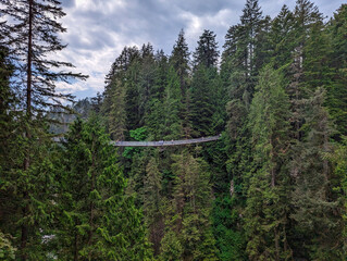 Capilano Suspension Bridge in Vancouver Surrounded by Lush Forest